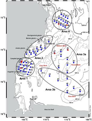 Spatial-Related Community Structure and Dynamics in Phytoplankton of the Ross Sea, Antarctica